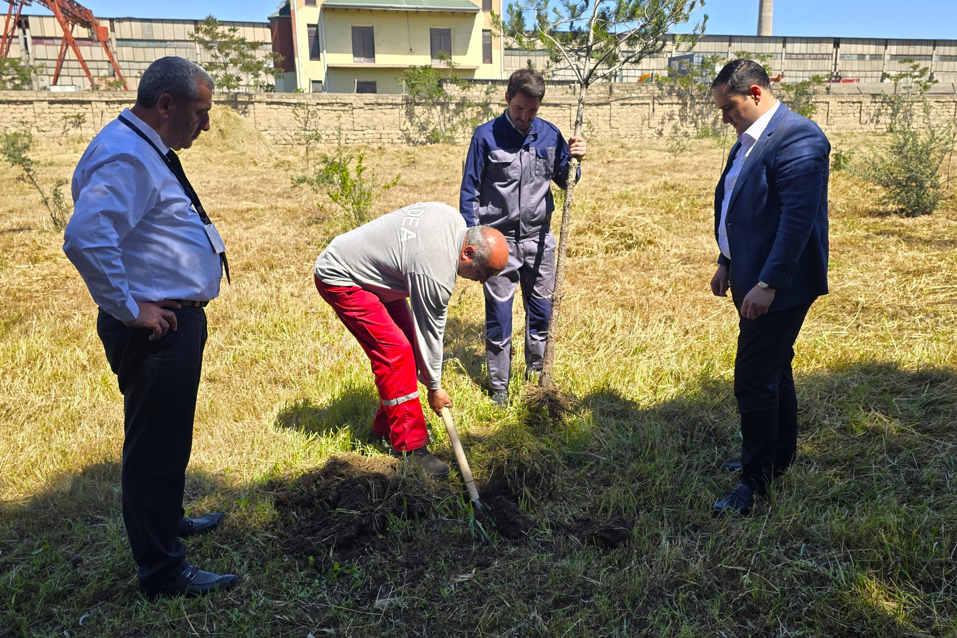 ADEA tərəfindən Ümummilli Lider Heydər Əliyevin anadan olmasının 102-ci ildönümü ilə əlaqədar ağacəkmə aksiyası keçirilib